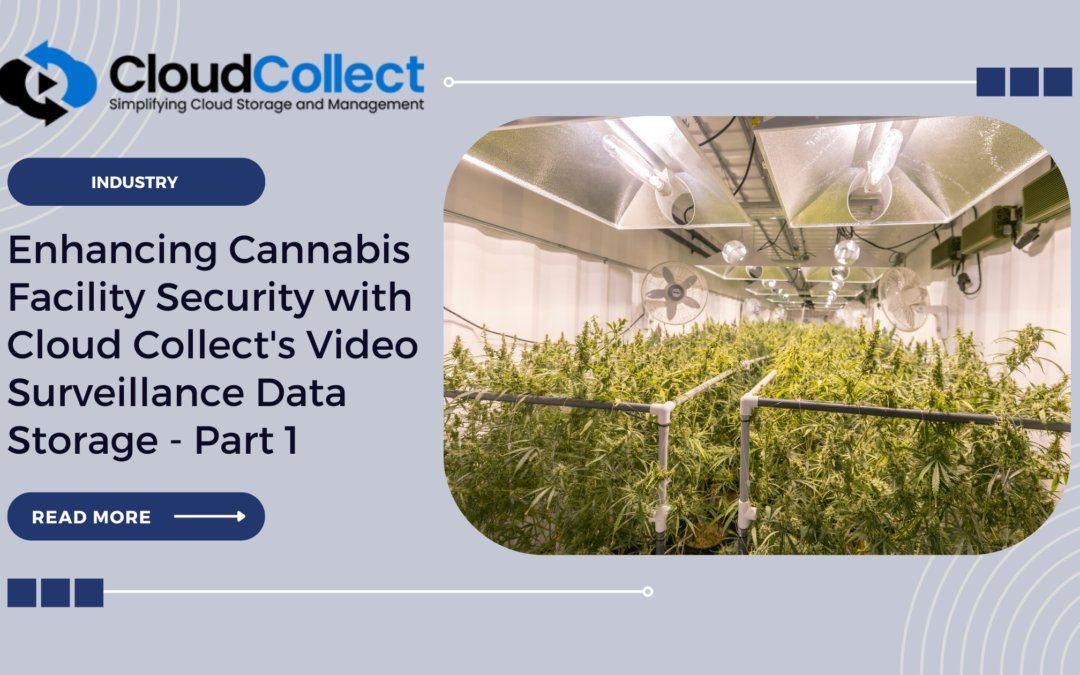 Enhancing Cannabis Facility Security with Cloud Collect’s Video Surveillance Data Storage – Part 1