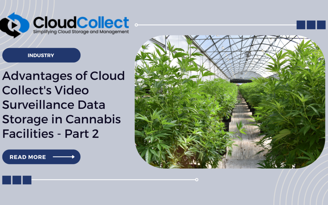 Advantages of Cloud Collect’s Video Surveillance Data Storage in Cannabis Facilities – Part 2